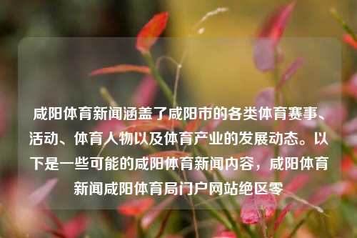 咸阳体育新闻涵盖了咸阳市的各类体育赛事、活动、体育人物以及体育产业的发展动态。以下是一些可能的咸阳体育新闻内容，咸阳体育新闻咸阳体育局门户网站绝区零-第1张图片-体育新闻