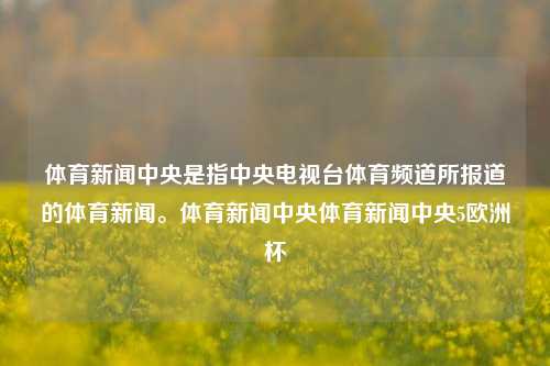 体育新闻中央是指中央电视台体育频道所报道的体育新闻。体育新闻中央体育新闻中央5欧洲杯-第1张图片-体育新闻