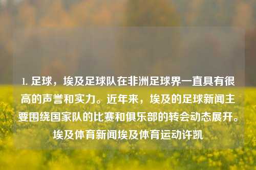 1. 足球，埃及足球队在非洲足球界一直具有很高的声誉和实力。近年来，埃及的足球新闻主要围绕国家队的比赛和俱乐部的转会动态展开。埃及体育新闻埃及体育运动许凯-第1张图片-体育新闻