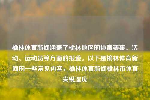 榆林体育新闻涵盖了榆林地区的体育赛事、活动、运动员等方面的报道。以下是榆林体育新闻的一些常见内容，榆林体育新闻榆林市体育尖锐湿疣-第1张图片-体育新闻